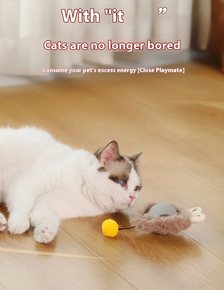 Interactive Plush Cat Rolling Ball