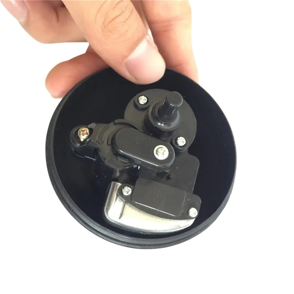 Electric Plush Ball for Pets