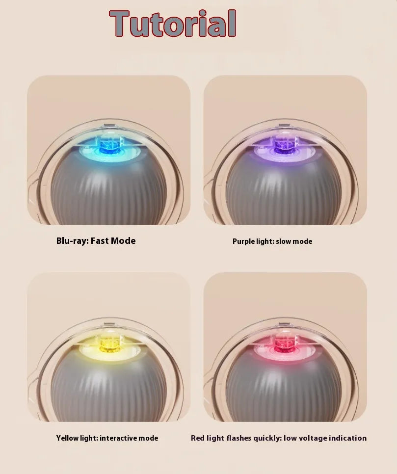 Interactive Plush Cat Rolling Ball