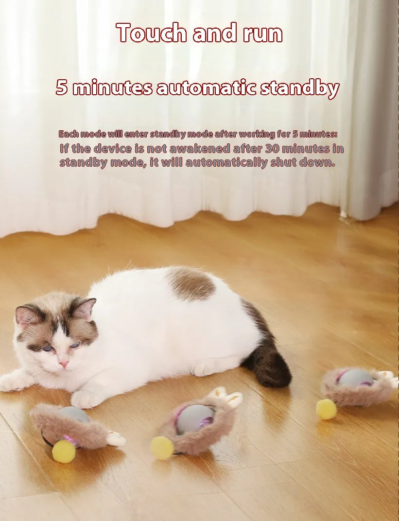 Interactive Plush Cat Rolling Ball