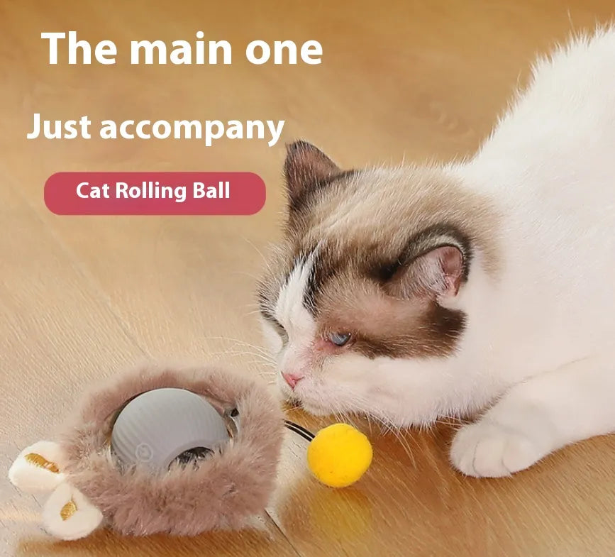 Interactive Plush Cat Rolling Ball