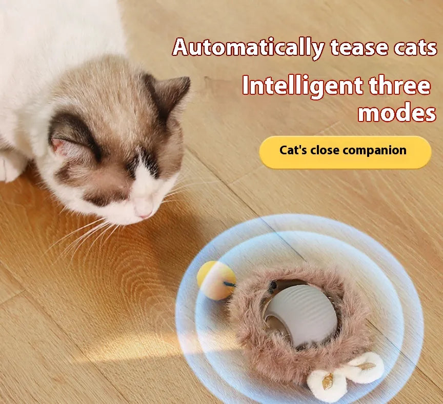 Interactive Plush Cat Rolling Ball